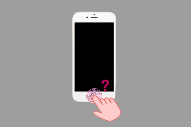 iPhone 11 Resmi Tanpa Touch ID, Lalu Bagaimana Cara Buka Kunci Ponsel? - touch id pada iphone 11